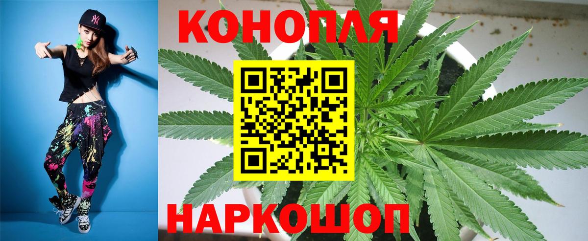 Марихуана сатива Гуково